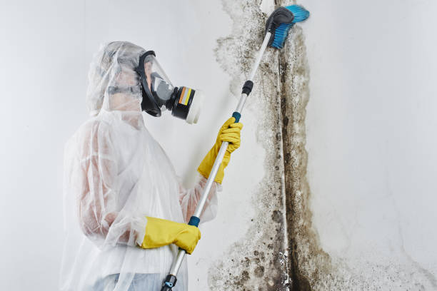 Crawl Space Mold Removal in Bowman, ND
